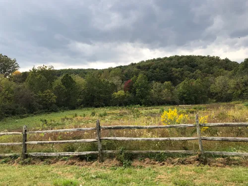 Green field with trees and a wooden fence